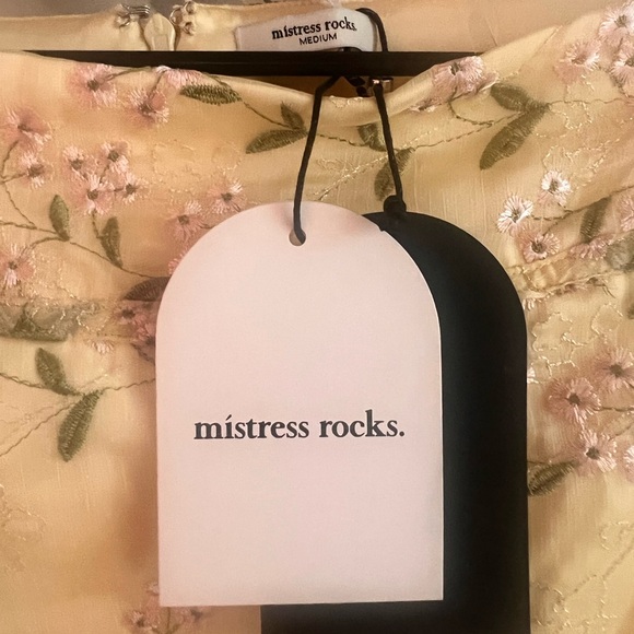 Mistress Rocks Lemon Embroidered Corset and Skirt Set - Picture 5 of 6